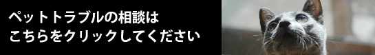 トラブル相談はこちらをクリック